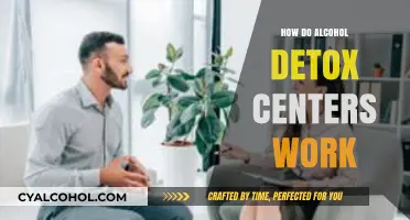 Understanding Alcohol Detox Centers: Process, Support, and Recovery Explained