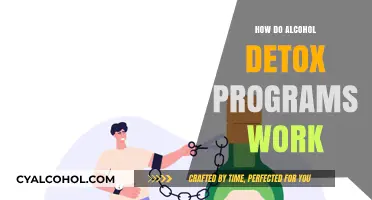 Understanding Alcohol Detox Programs: Process, Benefits, and Recovery Steps
