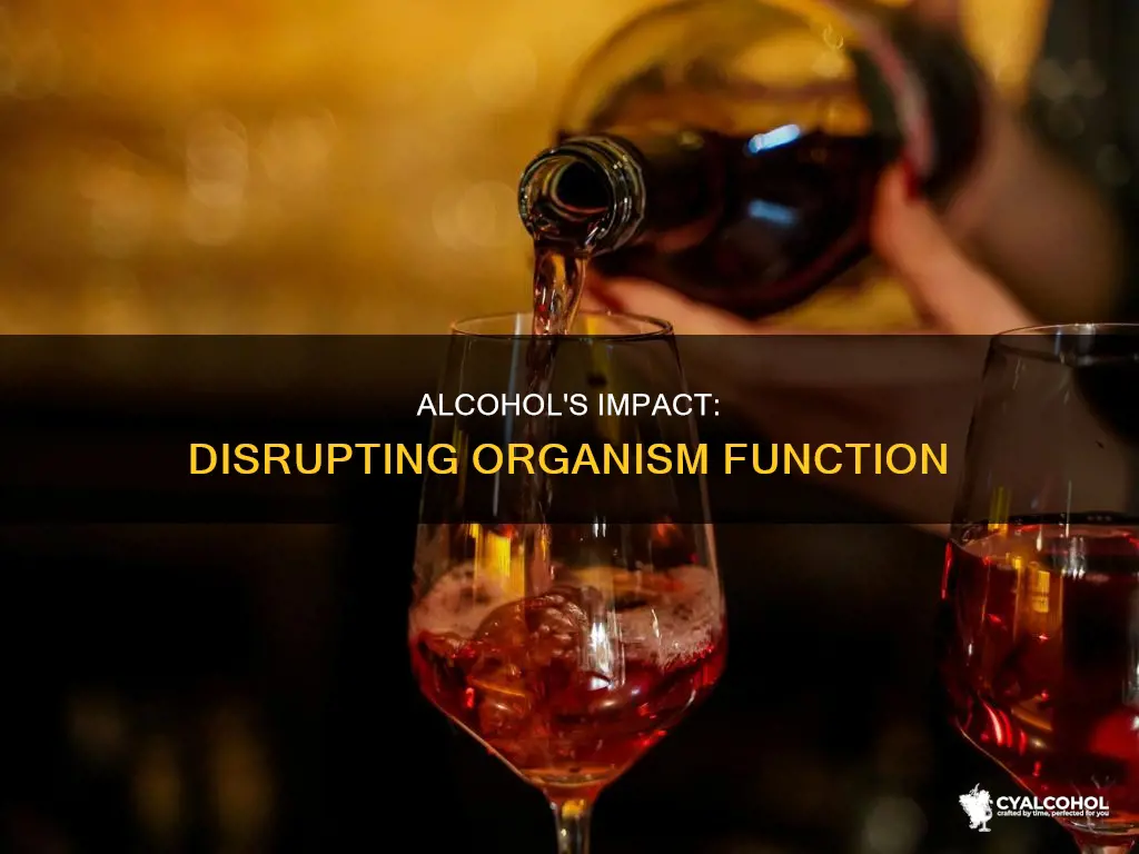 how do alcohol disrupt the normal function of an organism