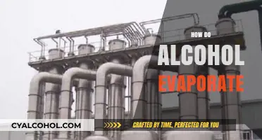 Understanding Alcohol Evaporation: Process, Factors, and Real-World Applications