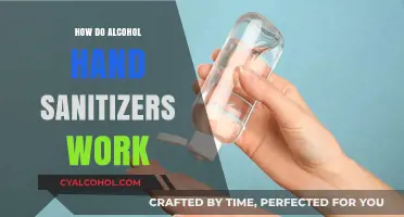 How Alcohol Hand Sanitizers Kill Germs: A Quick Science Guide