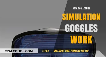 Understanding Alcohol Simulation Goggles: Functionality and Impact on Perception
