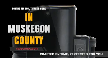 Understanding Alcohol Tethers in Muskegon County: Functionality and Impact