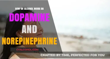 Alcohol's Impact: Dopamine and Norepinephrine Interaction Explained