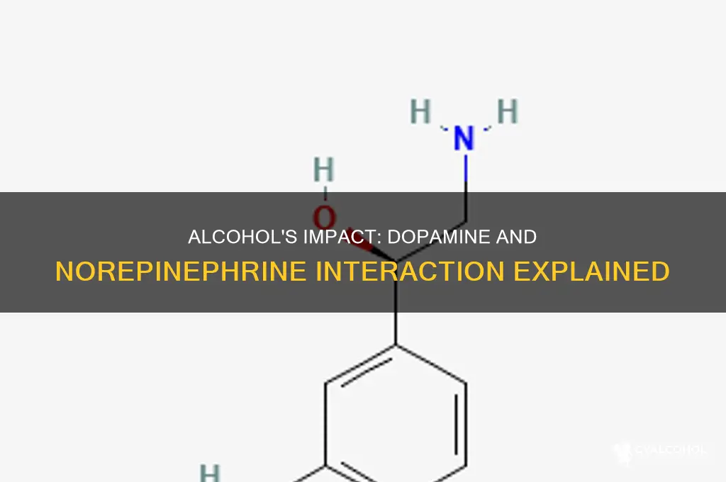 how do alcohol work on dopamine and norepinephrine
