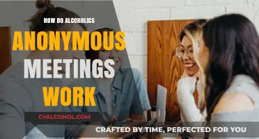 Understanding Alcoholics Anonymous: How Meetings Support Recovery and Sobriety