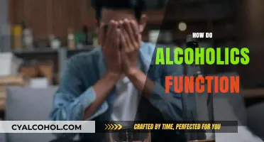 Understanding Functional Alcoholism: How High-Functioning Alcoholics Cope Daily