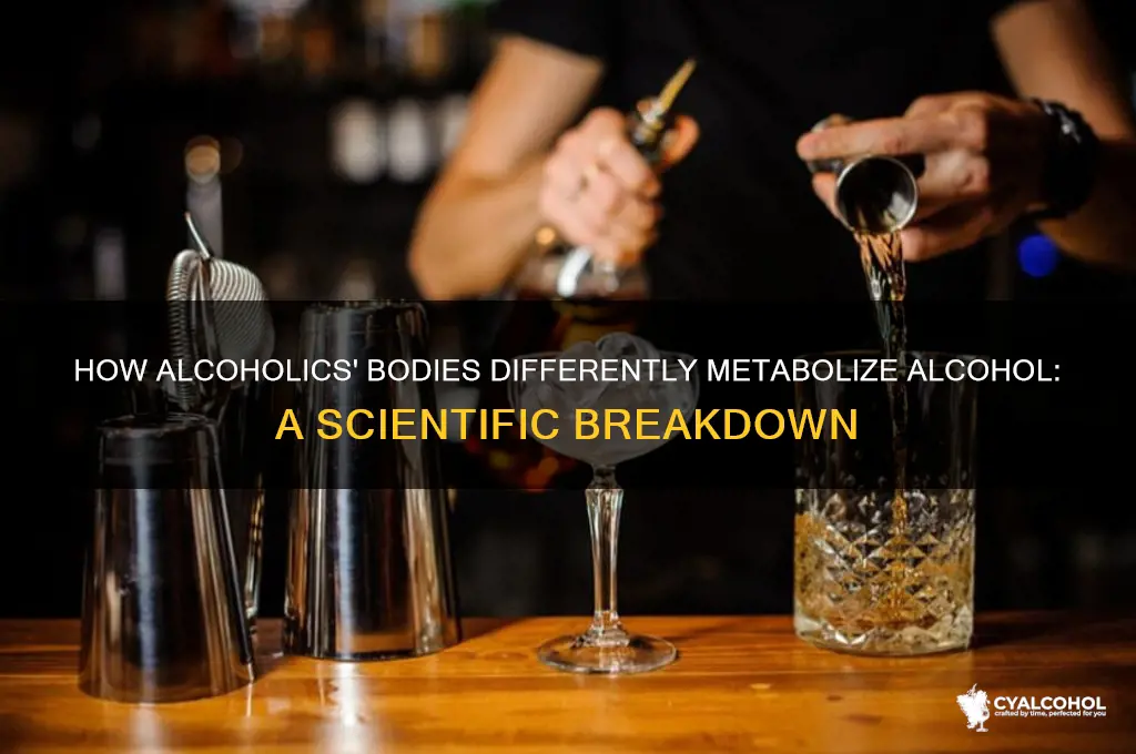 how do alcoholics process alcohol differently