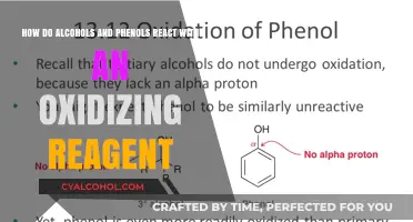 Exploring Alcohol, Phenol Oxidation Reactions