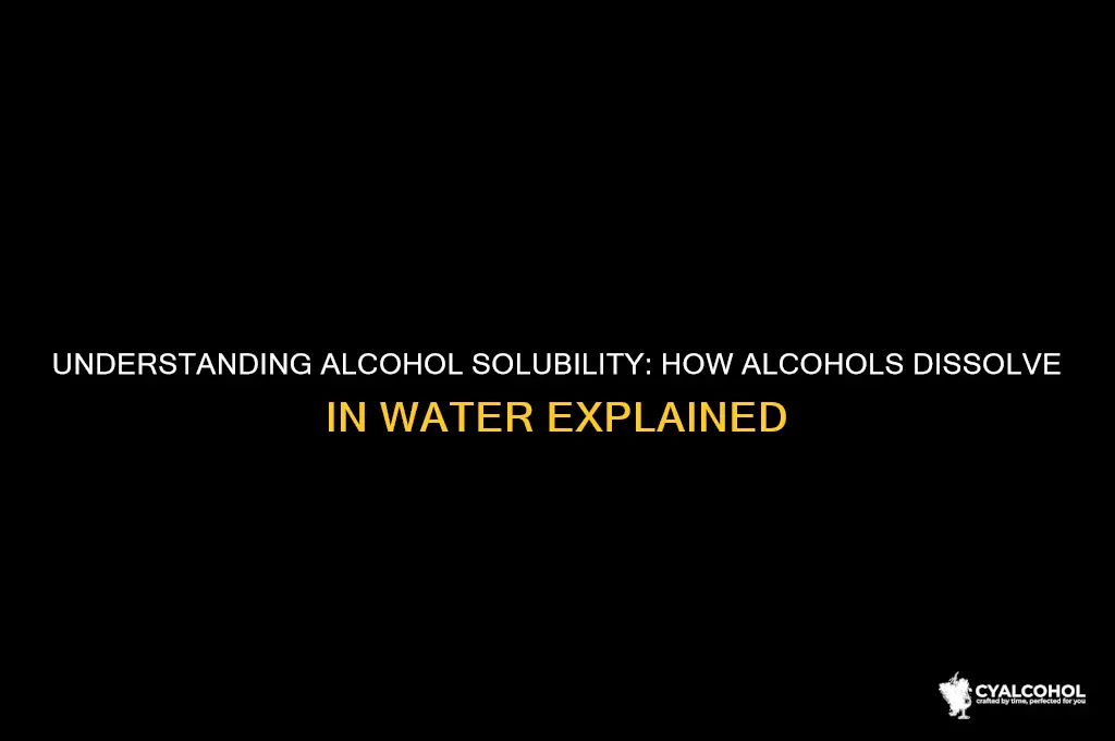 how do alcohols dissolve in water