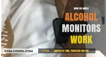 Understanding Ankle Alcohol Monitors: How They Detect and Track Alcohol Use