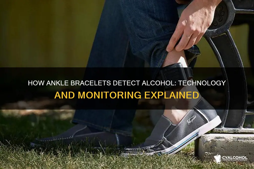 how do ankle bracelets detect alcohol