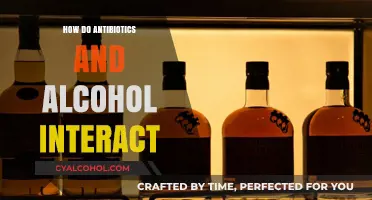 Antibiotics and Alcohol: Understanding Their Interaction and Potential Risks