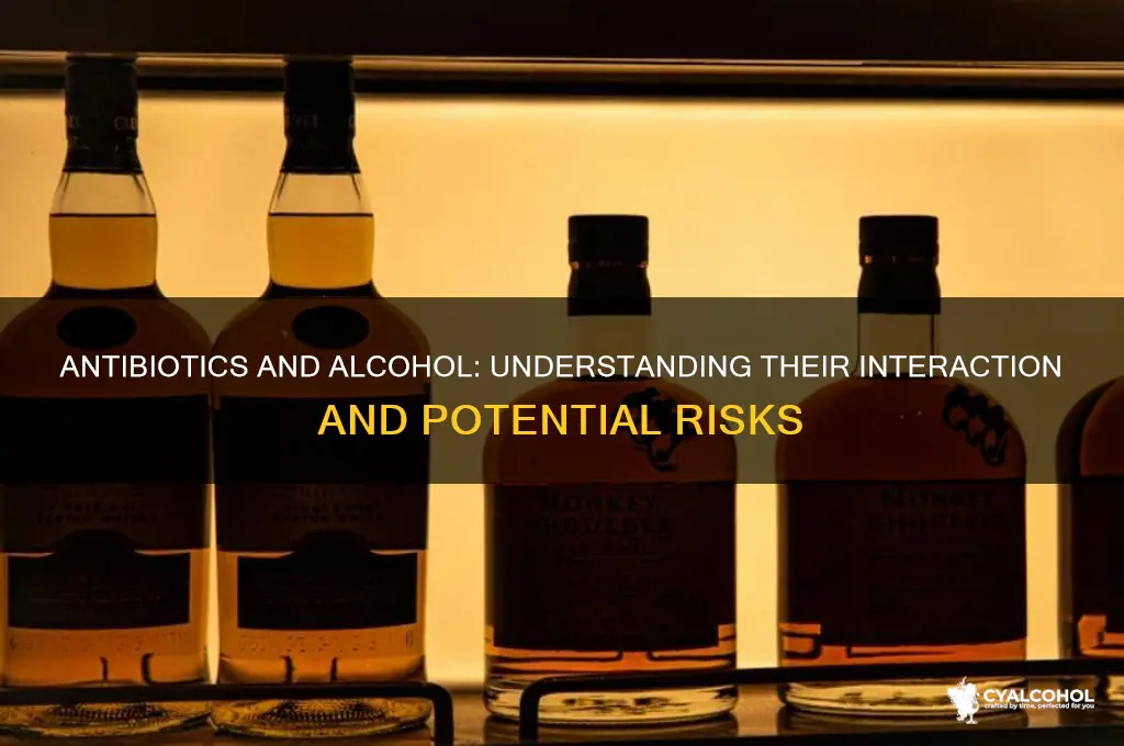 how do antibiotics and alcohol interact