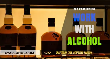 Antibiotics and Alcohol: Understanding Their Interaction and Potential Risks