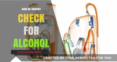Cruise Alcohol Policies: How Ships Detect and Regulate Onboard Beverages