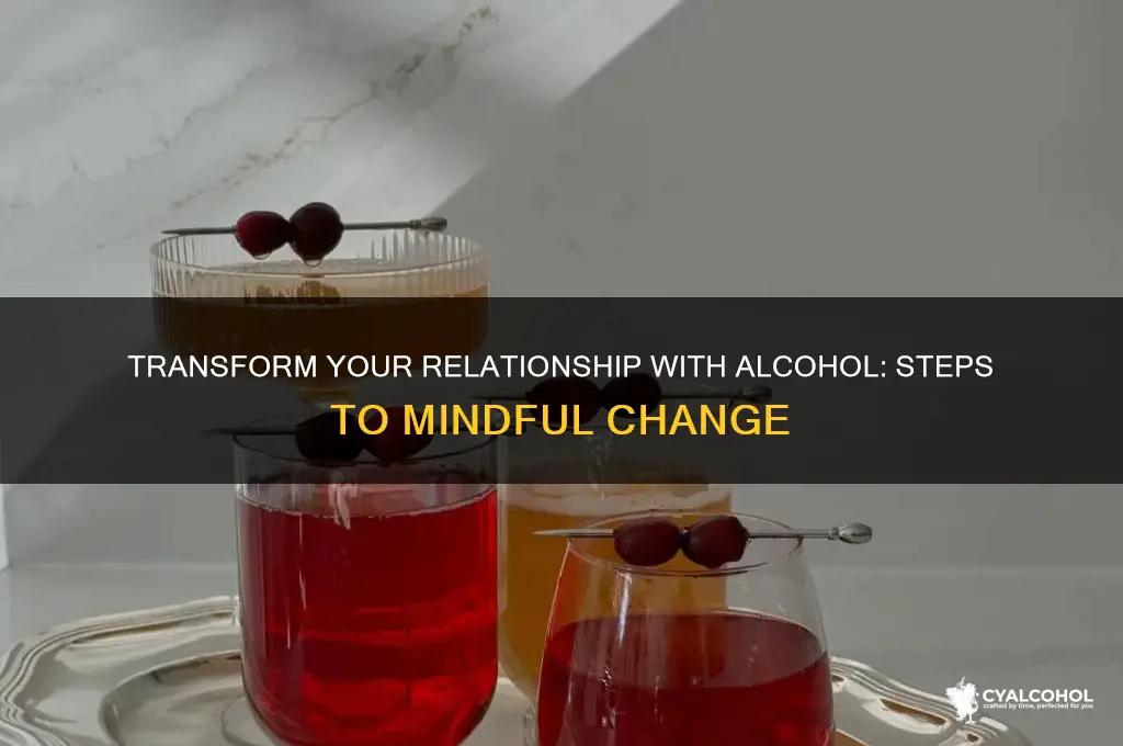 how do i change my relationship with alcohol