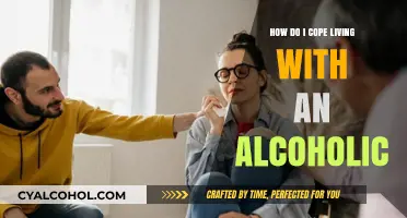 Coping with an Alcoholic: Strategies for Emotional Resilience and Healing
