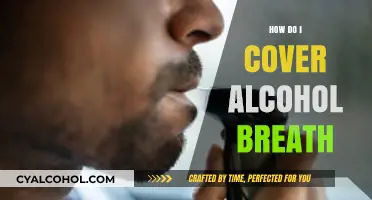 Effective Ways to Mask Alcohol Breath Quickly and Discreetly