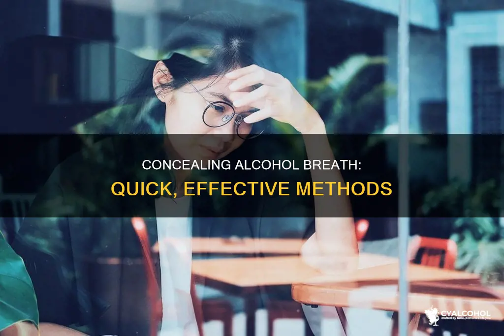 how do i cover up alcohol on your breath