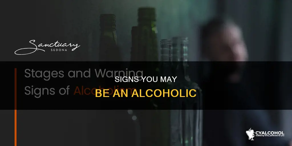 how do i determine if i am an alcoholic