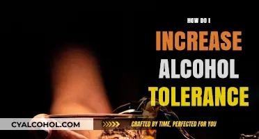 Boosting Alcohol Tolerance: Effective Strategies for Responsible Consumption and Safety