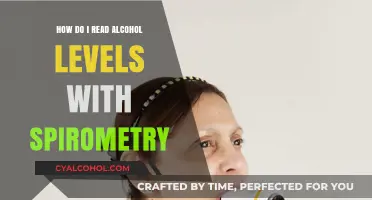 Understanding Alcohol Levels Through Spirometry: A Comprehensive Guide