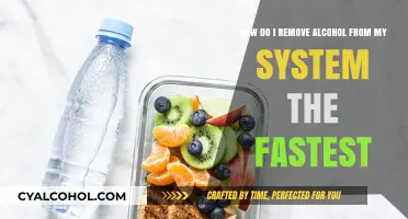 Fastest Ways to Remove Alcohol from Your System