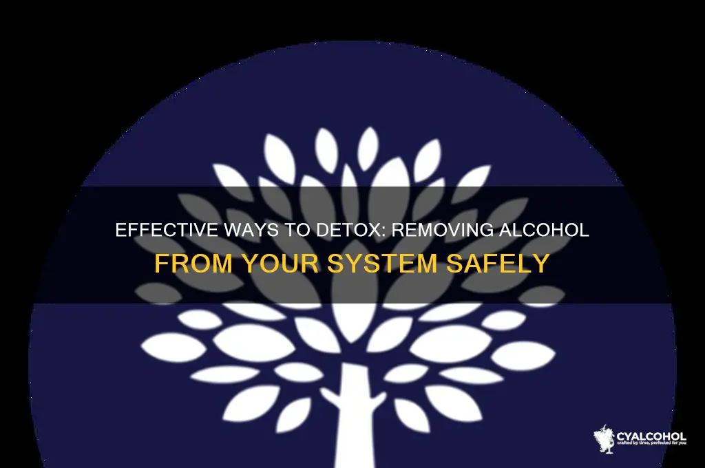 how do i remove alcohol from my system