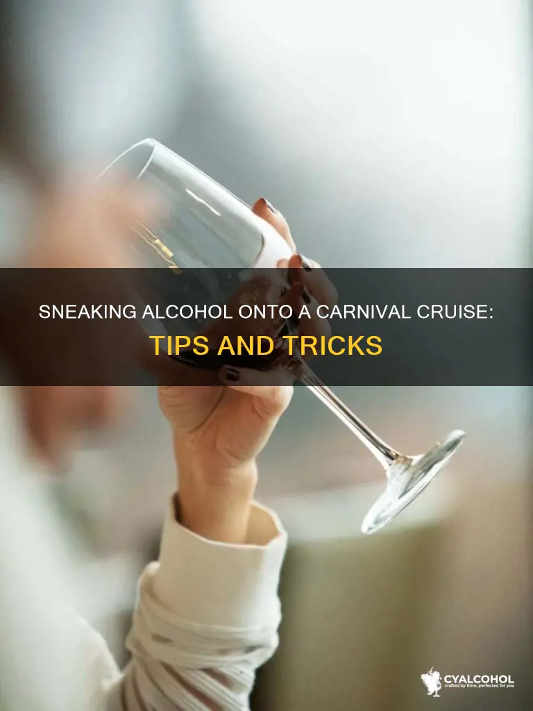 how do i sneak alcohol on a carnival cruise