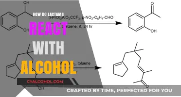 Lactam-Alcohol Reactions: Mechanisms, Products, and Synthetic Applications Explained