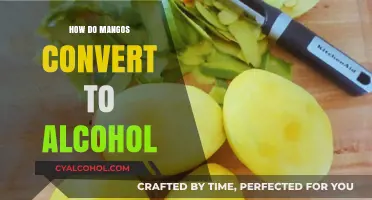 Mango Fermentation: Transforming Sweet Fruit into Alcoholic Beverages Explained