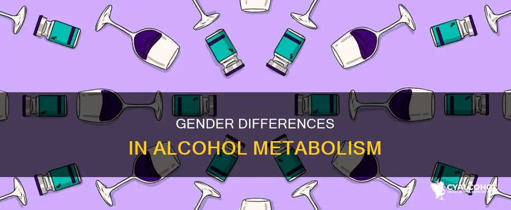 how do men and women differ in alcohol metabolism