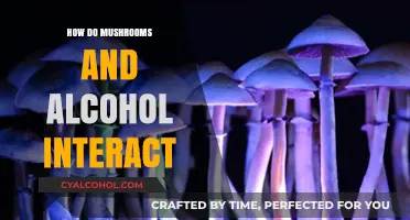 Mushrooms and Alcohol: Unveiling Their Complex Interaction and Effects