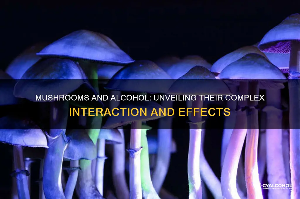how do mushrooms and alcohol interact