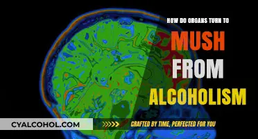 Alcoholism's Devastating Impact: How Organs Deteriorate into Mush