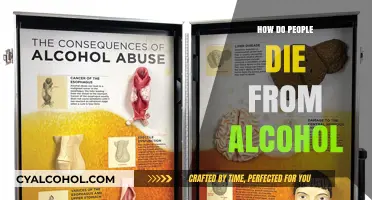 Deadly Effects of Alcohol: Understanding Fatal Consequences of Overconsumption