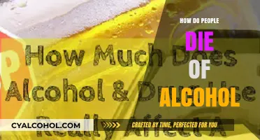 Deadly Effects of Alcohol: Understanding How Excessive Drinking Causes Fatalities