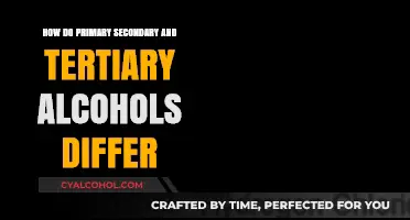 Primary, Secondary, Tertiary Alcohols: Key Differences Explained