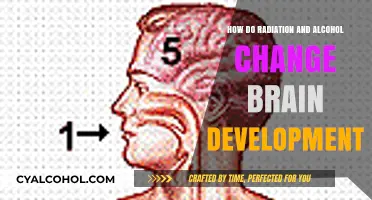 Radiation, Alcohol, and the Brain: Unraveling Developmental Impacts