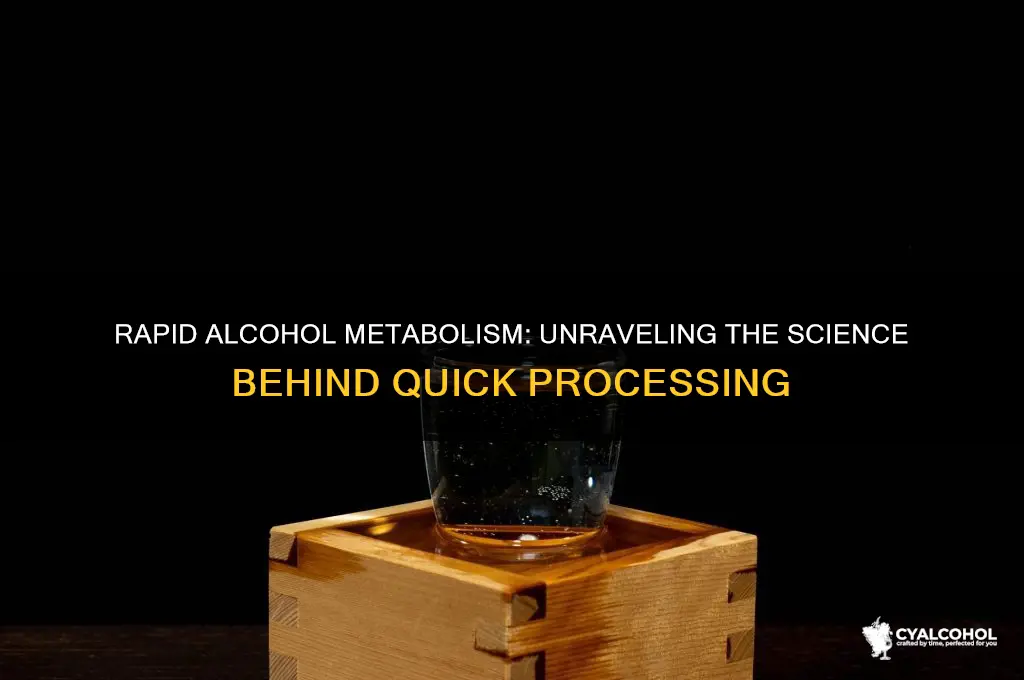 how do some people process alcohol so fast