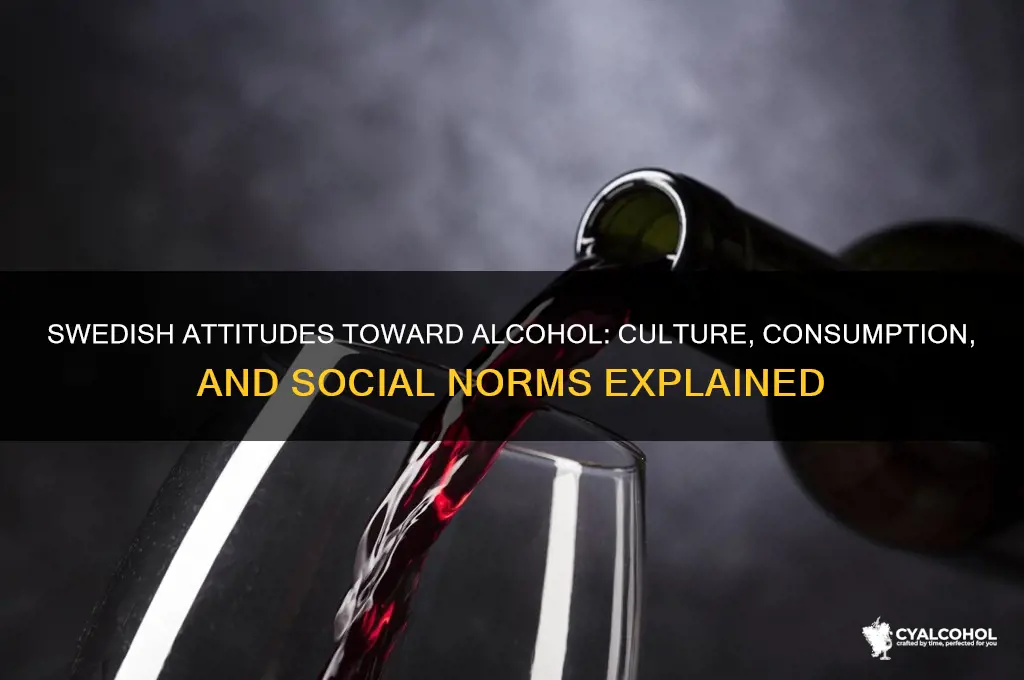 how do teh swedish view alcohol