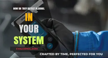 Detecting Alcohol in Your System: Methods, Accuracy, and Testing Explained
