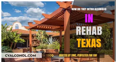 Texas Alcohol Detox: Effective Rehab Strategies for Safe Recovery