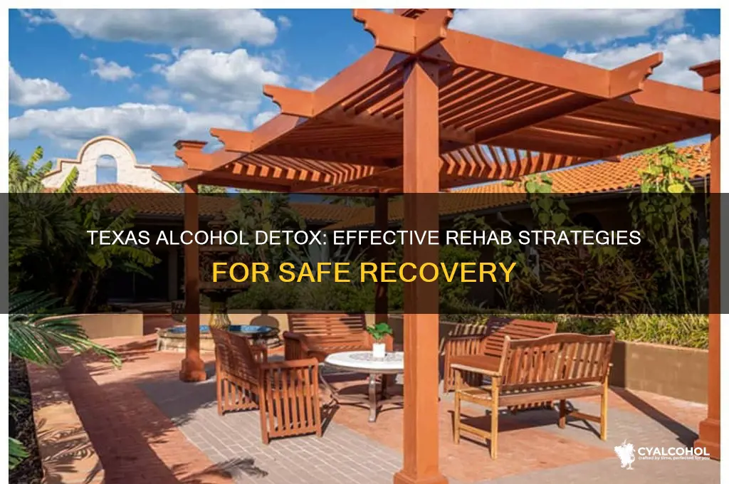 how do they detox alcoholic in rehab texas
