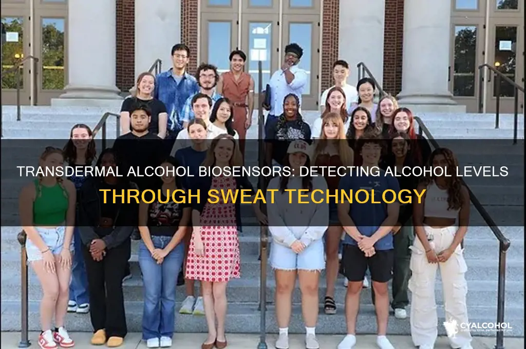 how do transdermal alcohol biosensors work in sweat