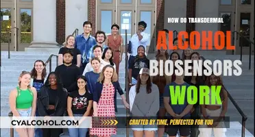 Understanding Transdermal Alcohol Biosensors: Functionality and Applications Explained