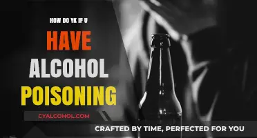 Recognizing Alcohol Poisoning: Signs, Symptoms, and Immediate Actions to Take