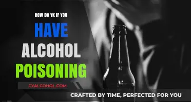 Recognizing Alcohol Poisoning: Signs, Symptoms, and Immediate Actions to Take
