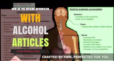 Understanding Alcohol Intoxication: Causes, Effects, and Safe Consumption Tips